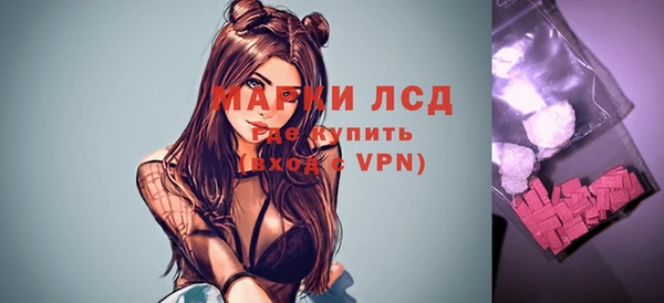 крисы Алзамай