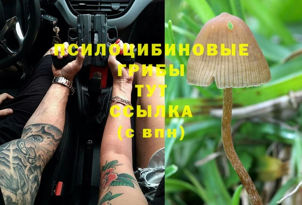 крисы Алексин
