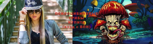 крисы Алзамай